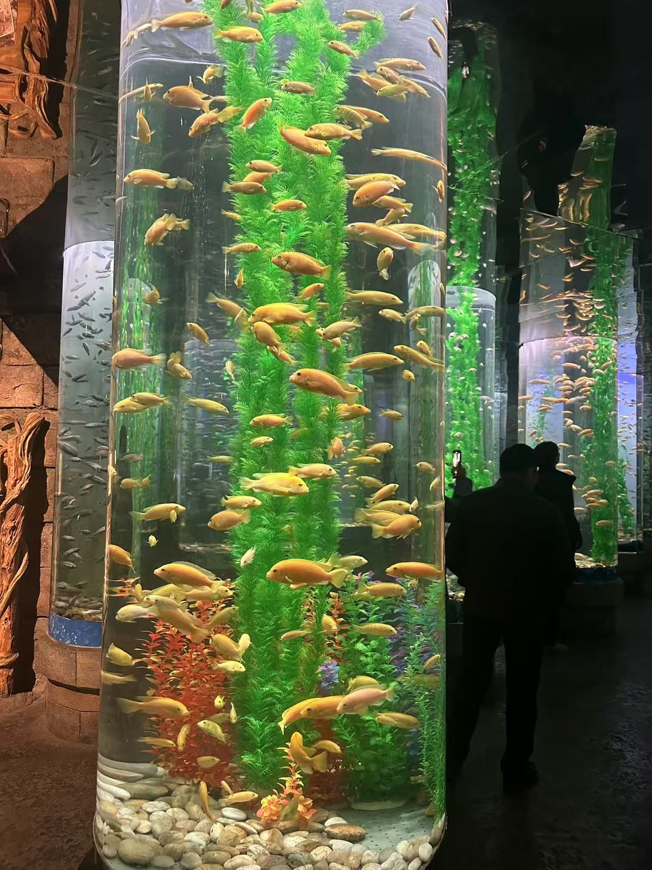 鿴ϸϢ⣺罹 ȷ֣ Ķ222