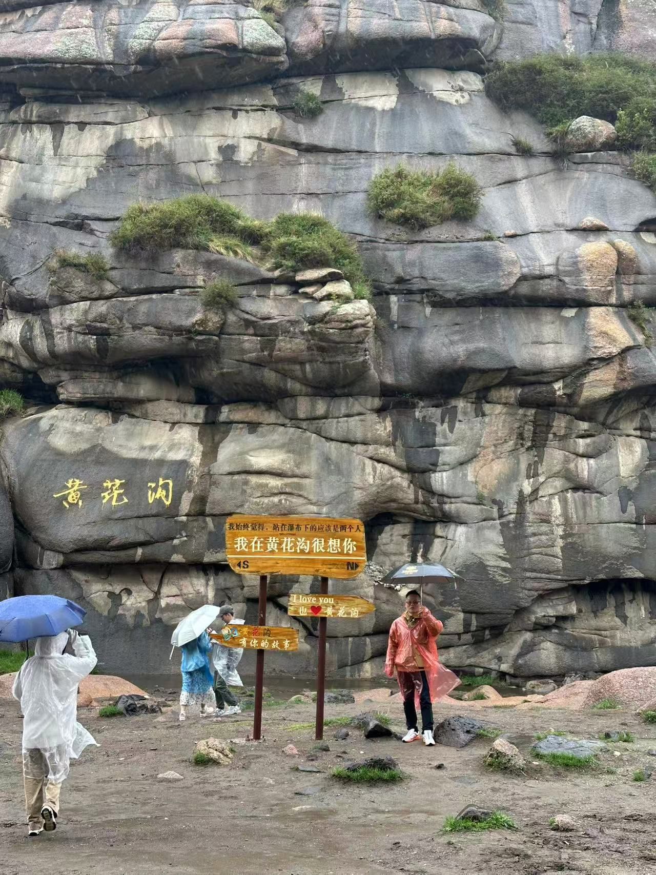 鿴ϸϢ⣺罹ղԭɷ Ķ52